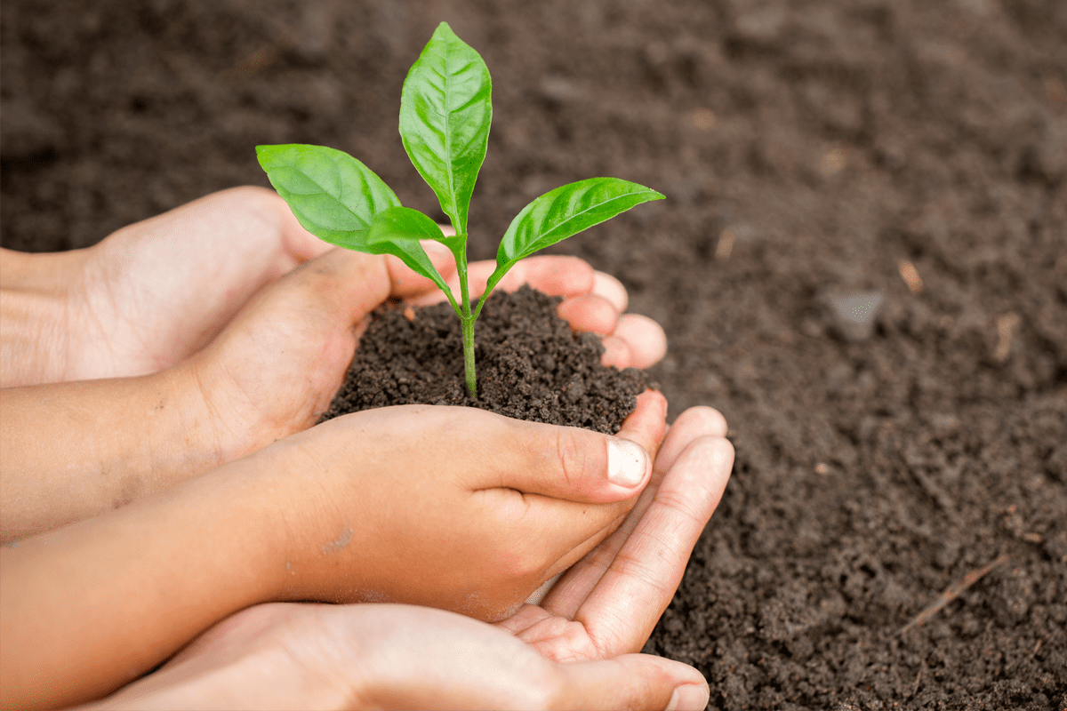 Growing Strong Foster Families